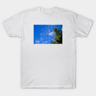 Tante ju airplane / Swiss Artwork Photography T-Shirt